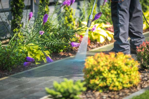Best Pre-Holiday Cleaning  in Rockland, ME